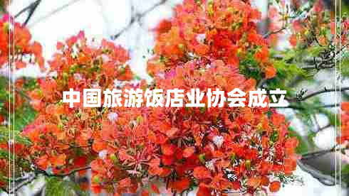 中國旅游飯店業(yè)協(xié)會成立