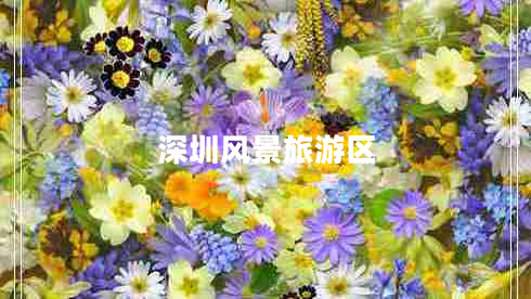 深圳風(fēng)景旅游區(qū)