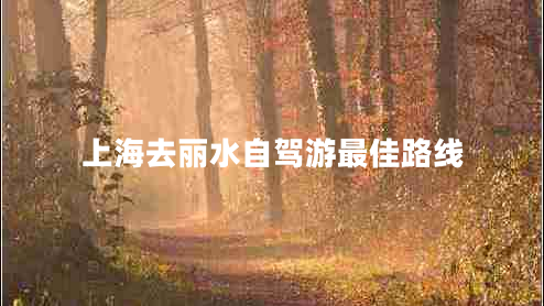 上海去麗水自駕游最佳路線