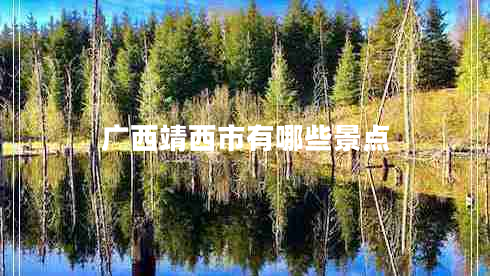 廣西靖西市有哪些景點