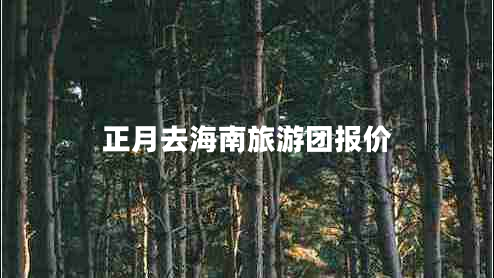 正月去海南旅游團(tuán)報價