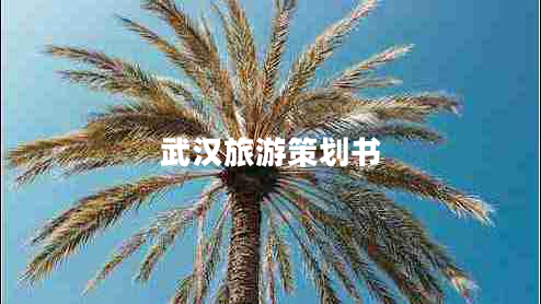 武漢旅游策劃書