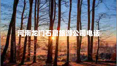 河南龍門石窟旅游公司電話