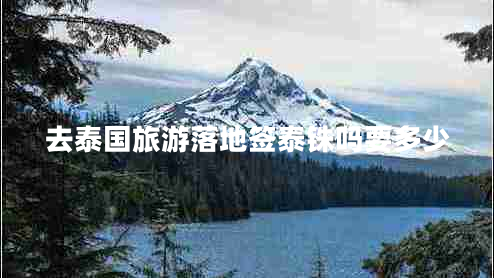 去泰國(guó)旅游落地簽泰銖嗎要多少