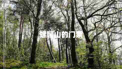 螺髻山的門票