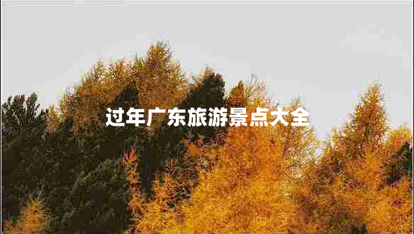 過年廣東旅游景點(diǎn)大全