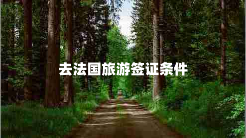 去法國(guó)旅游簽證條件