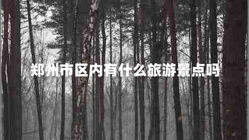 鄭州市區(qū)內(nèi)有什么旅游景點(diǎn)嗎
