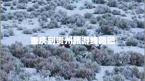 重慶到貴州旅游線路圖