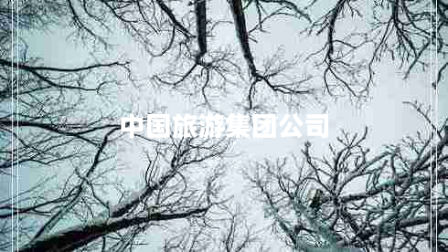 中國(guó)旅游集團(tuán)公司