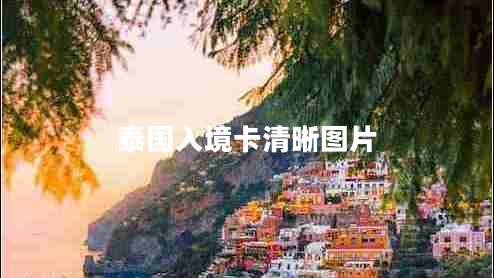 泰國(guó)入境卡清晰圖片