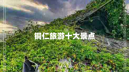 銅仁旅游十大景點