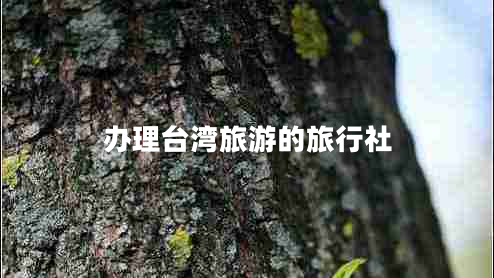辦理臺(tái)灣旅游的旅行社