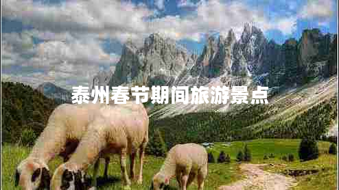 泰州春節(jié)期間旅游景點