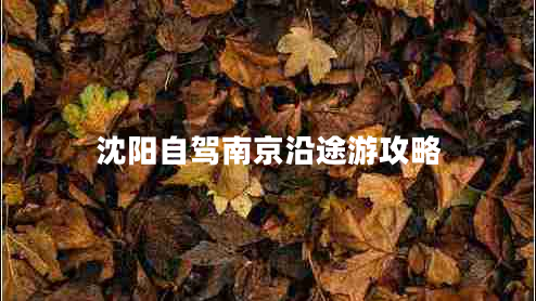 沈陽自駕南京沿途游攻略