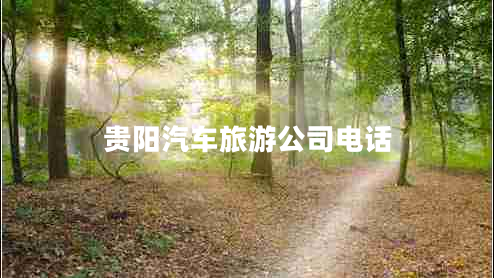 貴陽汽車旅游公司電話