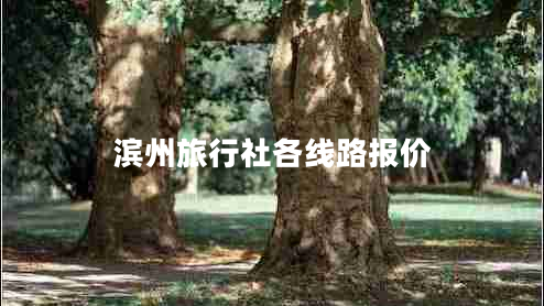 濱州旅行社各線路報(bào)價(jià)