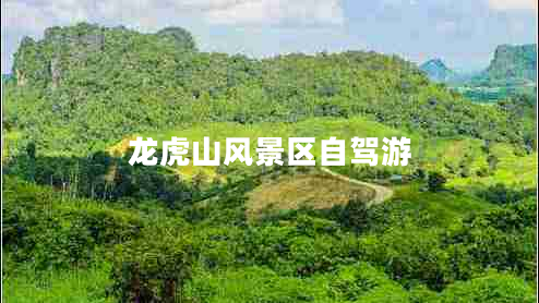 龍虎山風(fēng)景區(qū)自駕游
