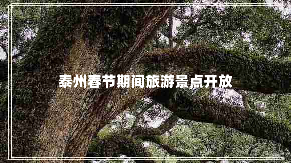 泰州春節(jié)期間旅游景點開放