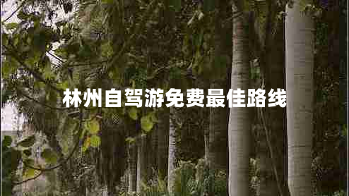 林州自駕游免費(fèi)最佳路線