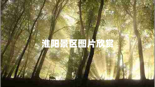 淮陽景區(qū)圖片欣賞