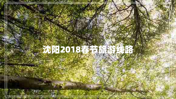 沈陽(yáng)2018春節(jié)旅游線路