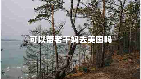 可以帶老干媽去美國(guó)嗎