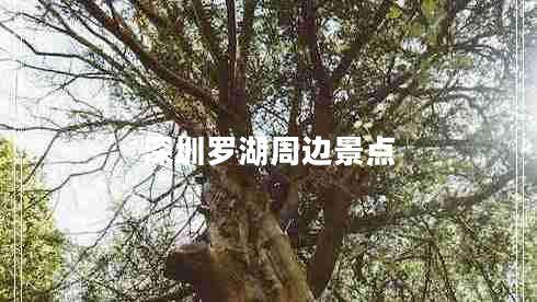 深圳羅湖周邊景點