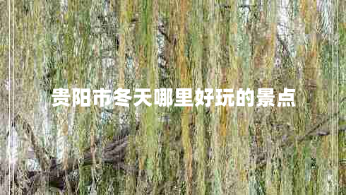貴陽市冬天哪里好玩的景點