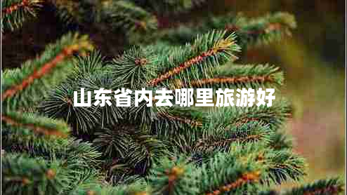 山東省內(nèi)去哪里旅游好
