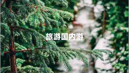 旅游國內(nèi)游