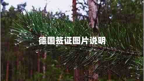 德國(guó)簽證圖片說(shuō)明