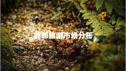 邯鄲旅游市場分析