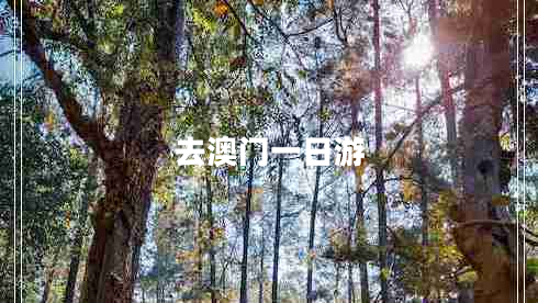 去澳門一日游