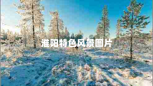 淮陽特色風景圖片