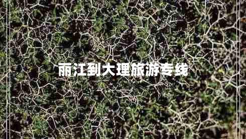 麗江到大理旅游專線