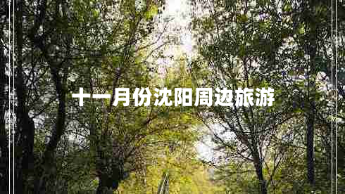 十一月份沈陽周邊旅游
