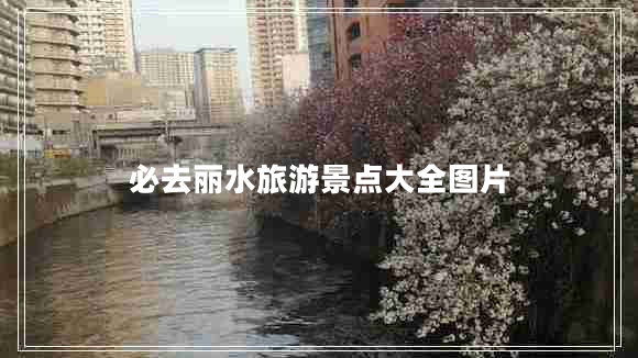 必去麗水旅游景點大全圖片