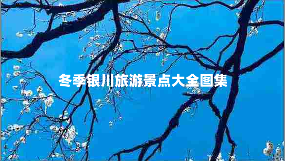冬季銀川旅游景點大全圖集