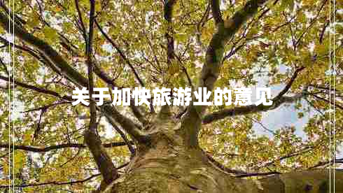 關(guān)于加快旅游業(yè)的意見