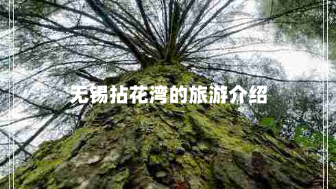 無錫拈花灣的旅游介紹