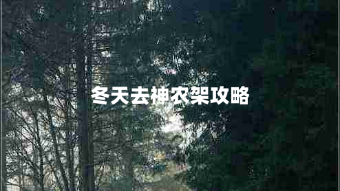 冬天去神農(nóng)架攻略