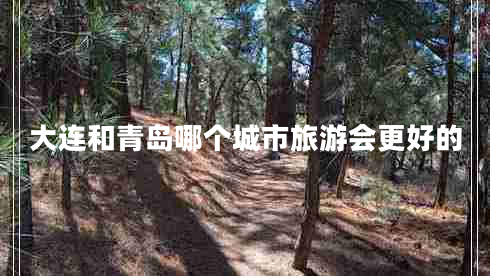 大連和青島哪個城市旅游會更好的
