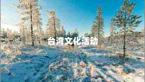 臺(tái)灣文化活動(dòng)
