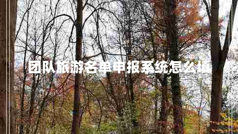 團隊旅游名單申報系統(tǒng)怎么填