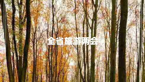 全省旅游兩會
