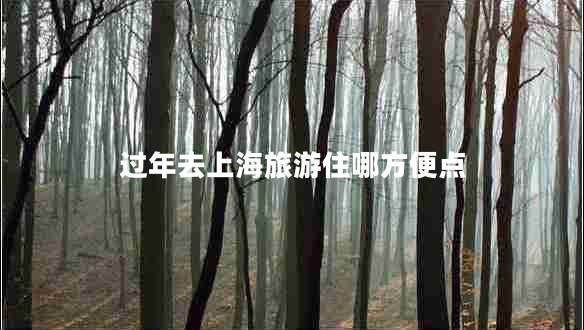過年去上海旅游住哪方便點(diǎn)