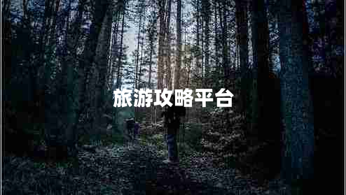 旅游攻略平臺