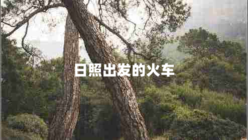日照出發(fā)的火車