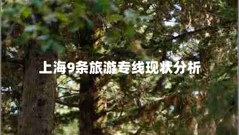 上海9條旅游專線現(xiàn)狀分析